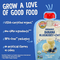 Thumbnail for Image 6 of Earth's Best Organic Baby Food Pouches 3.5 oz Pack of 12