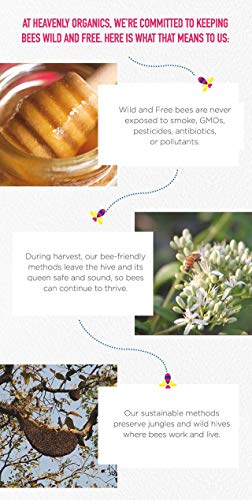 Image 4 of Heavenly Organics Rare Wild Himalayan Honey, 12 Ounce - 6 per case
