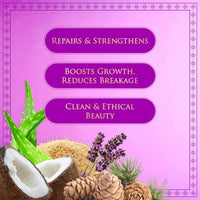 Thumbnail for https://shopify-staged-uploads.storage.googleapis.com/tmp/97228161387/files/350a86ba-db40-4425-83b3-a1afcacacbe1/a38527ff3da4c25f84b60acc3d43d35318266530.img