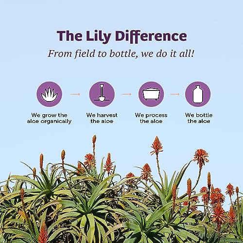 Image 6 of Lily Of The Desert Stomach Formula Shot, Organic Aloe Vera Juice with FOS Prebiotic and a Proprietary Herbal Blend, 2 Oz Each, Pack of 12