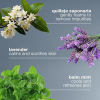 Thumbnail for Image 8 of Dermalogica Special Cleansing Gel