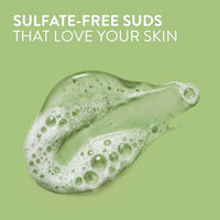 Thumbnail for Image 4 of Native Body Wash Contains Naturally Derived Ingredients 18 Fl Oz Pack of 6