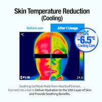 Thumbnail for Image 3 of GOODAL Heartleaf Hyaluron Gel Mask 5EA
