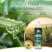 Thumbnail for Image 2 of Real Aloe Vera Shampoo (16 fl oz)