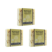 Thumbnail for Image 1 of Default Title for the product Plantlife Rosemary Tea Tree Bar Soap 3-Pack, Handcrafted, Vegan, 4 oz