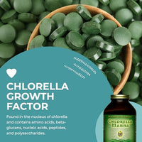 Thumbnail for Image 5 of HEALTHFORCE SUPERFOODS Chlorella Manna - Powder 350 g
