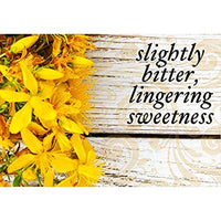 Thumbnail for Image 2 of Buddha Teas Organic St Johns Wort Tea - Herbal Tea, Caffeine Free