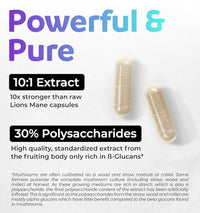 Thumbnail for Image 6 of PURE CO Organic Lions Mane Supplement Capsules