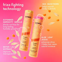 Thumbnail for Image 4 of Amika Forget Frizz Anti-Frizz Shampoo
