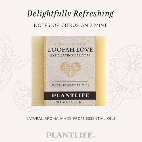 https://shopify-staged-uploads.storage.googleapis.com/tmp/97228161387/files/49706910-ff69-4e9b-b910-dee7fba6210c/be07392802377b0efdc6c006c880c5e9dc6d94be.img