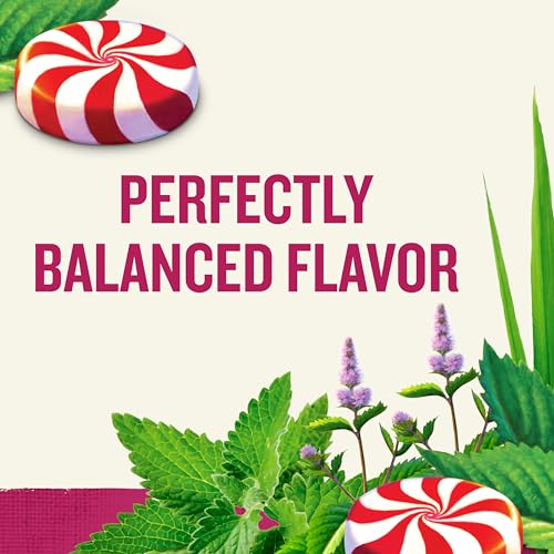 Image 3 of Celestial Seasonings Peppermint Herbal Tea, Caffeine Free, 20 Tea Bags Box (Pack of 6)