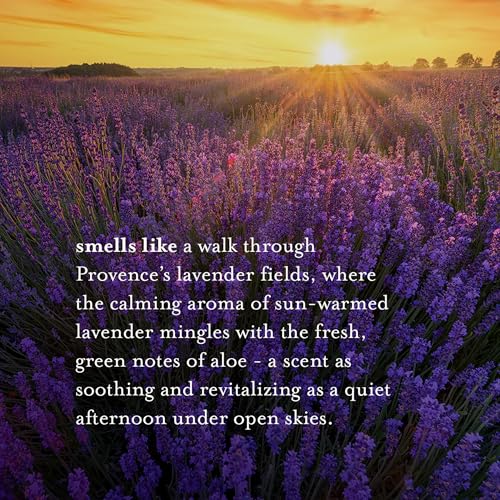 Image 4 of A LA MAISON Lavender Aloe French Liquid Hand Soap 16.9 oz 2 Pack