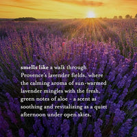 Thumbnail for Image 4 of A LA MAISON Lavender Aloe French Liquid Hand Soap 16.9 oz 2 Pack