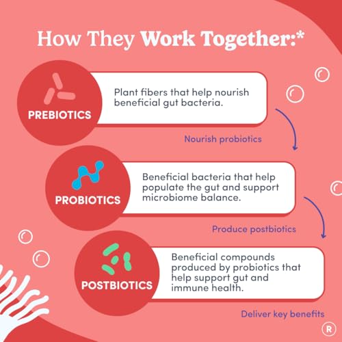 Image 4 of FIRST DAY Probiotic Gummies for Women, 3-in-1 Prebiotic + Postbiotic, 60ct
