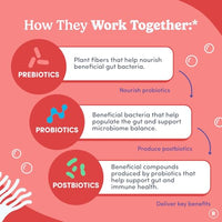 Thumbnail for Image 4 of FIRST DAY Probiotic Gummies for Women, 3-in-1 Prebiotic + Postbiotic, 60ct