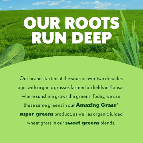 Image 5 of Amazing Grass Super Greens Powder Energy Watermelon, 60 Servings
