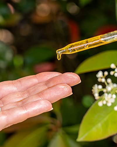 Image 5 of Rosehip Oil for Face - Unrefined & Cold Pressed Essential Oil from the Seed - Nourishing for Skin & Hair - USDA Certified Organic & 100% Pure - 1 Oz