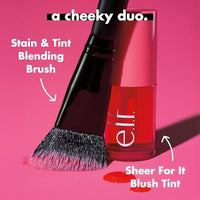 Thumbnail for https://shopify-staged-uploads.storage.googleapis.com/tmp/97228161387/files/aa7b1609-a565-41ad-825f-5fcd159aa21b/c0fe975e40349d50390108d7e34385f8f6914af2.img