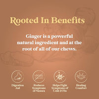 Thumbnail for Image 3 of Chimes Original Ginger Chews, 2-pound bag