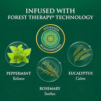 Thumbnail for Image 4 of SPA CEYLON ForestVeda Calming Wellness Trio Ayurvedic Gift Set