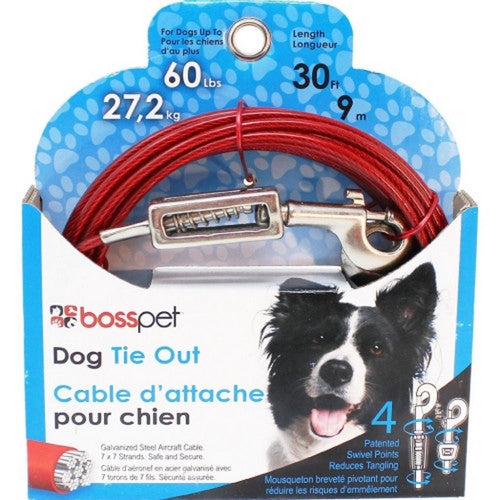 Buy Boss Pet Tie-Out W/ Spring 30 FT by Boss Pet Online At Low