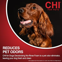 Thumbnail for Image 3 of CHI for Dogs Deodorizing Waterless Foam Wash, Pump Bottle, 8 Oz