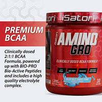 Thumbnail for Image 6 of iSatori Amino-GRO BCAA Powder Blue Razz Snow Cone Flavor - 30 Servings