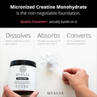 Thumbnail for Image 2 of QUALIA LIFE SCIENCES Qualia Creatine | Advanced Creatine Complex | 2 Sources + Magnesium | Optimized Absorption | Muscle Performance, Brain Function, & Healthy Aging (30 Servings)