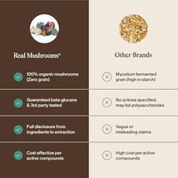 Thumbnail for Image 6 of Real Mushrooms 5 Defenders Mushroom Complex Powder, 100 Servings
