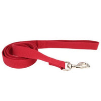 Thumbnail for New Earth Soy Dog Leash 1 Each, 5/8 Inches X 6 Feet, Cranberry by New Earth