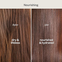 Thumbnail for Image 4 of RENPURE Coconut & Vitamin E Nourishing Shampoo for Dry/Normal Hair 24oz