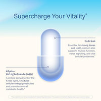 Thumbnail for Image 7 of ProHealth Ca AKG Supplement Alpha Ketoglutarate