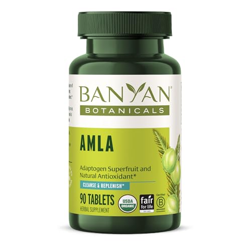 Image 1 of Default Title for the product Banyan Botanicals Organic Amla Tablets - 90 Tablets