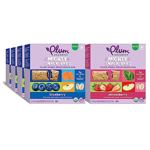 Image 1 of Default Title for the product Plum Organics Mighty Snack Bars 0.67 Ounce Bar (48 Total)