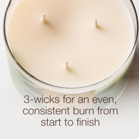 Thumbnail for Image 5 of Bath & Body Works 3-Wick Candle, Snowflakes & Cashmere Scent