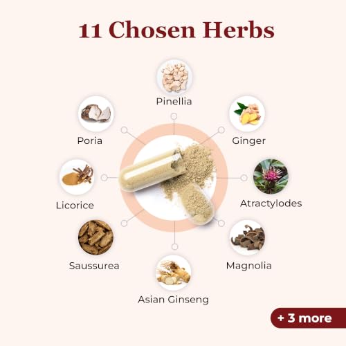 Image 4 of Snap Dynasty Herb Company Stomach Chi - 120 Capsules