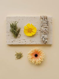 Thumbnail for Image 4 of SIORIS Soothing Face Cream, Korean Moisturizer for Sensitive & Redness-Prone Skin, 1.69 fl oz