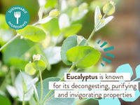 Thumbnail for Image 5 of Babo Botanicals Eucalyptus Remedy 2-in-1 Bubble Bath & Wash
