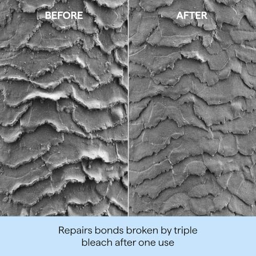 Image 6 of Briogeo Don't Despair, Repair! Deep Conditioning Hair Mask