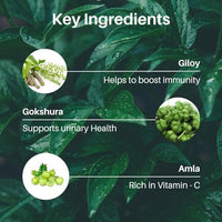 Thumbnail for Image 4 of Riddhish HERBALS Rasayan Churna (Amrutadi Churna) Powder 100g x3