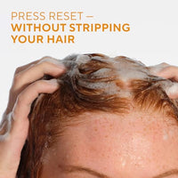 Thumbnail for Image 4 of Native Shampoo and Conditioner Set 16.5 fl oz each (2 pack)