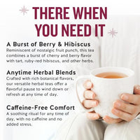 Thumbnail for Image 4 of Celestial Seasonings Herbal Tea Bags Black Cherry Berry 20 Count Pack of 6