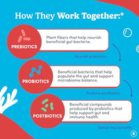 Thumbnail for Image 4 of FIRST DAY Probiotic for Teens Ages 13-18, 3-in-1 Gummies, 60ct
