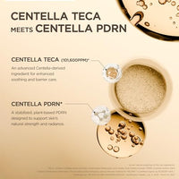 Thumbnail for Image 5 of SKIN1004 Madagascar Centella TECA Ampoule, Face Serum, 1.69 fl oz / 50 ml