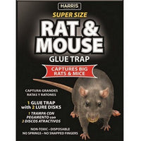 Thumbnail for Harris Super Size Rat & Mouse Glue Trap 1 Pack by Harris