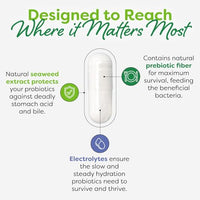 Thumbnail for Image 7 of Probulin Womens Probiotic - Vaginal, UT, Gut & Immune Health with Lactobacillus Reuteri - 20 Billion CFU, 12 Probiotic Strains & Prebiotics - 60 Vegan, Gluten Free Capsules for Whole-Body Wellness