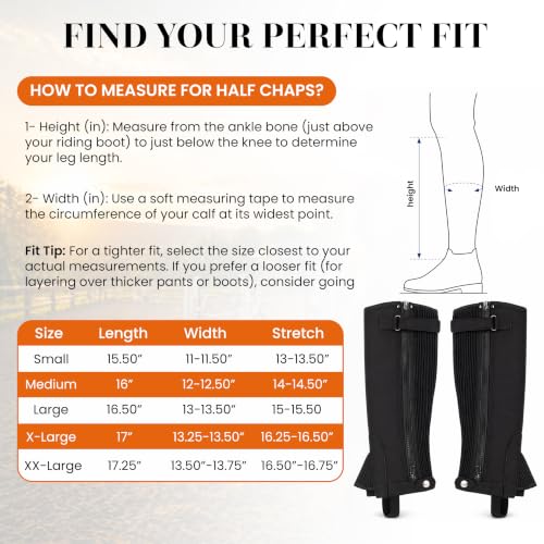 Image 14 of Half Chaps Amara Equestrian Women, Men, Synthetic Leather Zip-Up Pair English Riding Unisex Black Leather Half Chaps