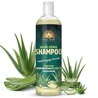 Thumbnail for Image 1 of 16 Fl Oz (Pack of 1) for the product Real Aloe Vera Shampoo (16 fl oz)