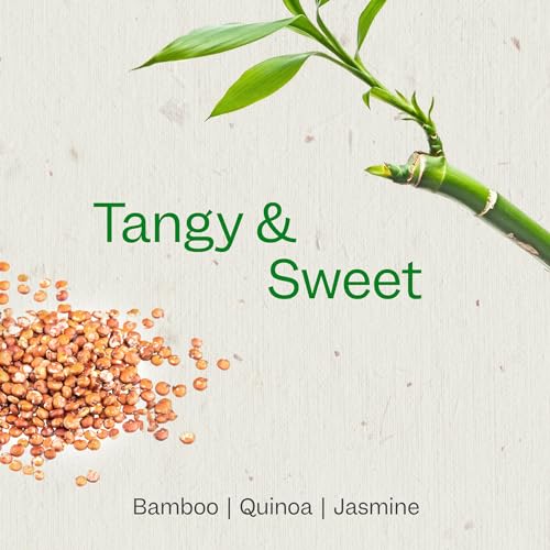 Image 4 of RENPURE Bamboo & Quinoa Strengthening Shampoo for Dry/Damaged Hair 24oz