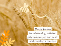 Thumbnail for Image 5 of Babo Botanicals Moisturizing Oat & Calendula Miracle Face Cream